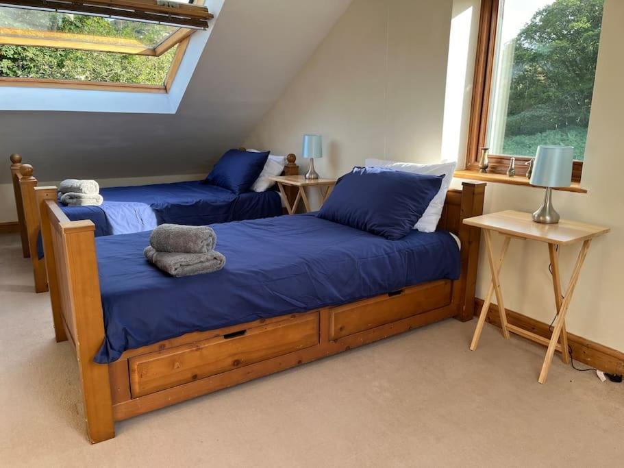 Bryn Rhedyn Cottage Cwm-y-glo 외부 사진
