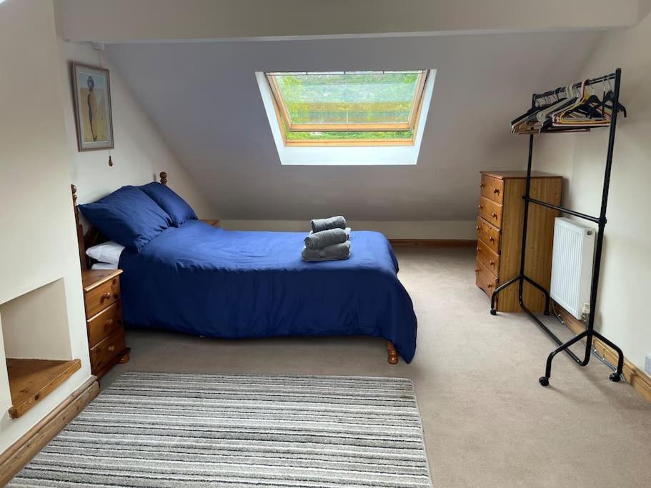 Bryn Rhedyn Cottage Cwm-y-glo 외부 사진