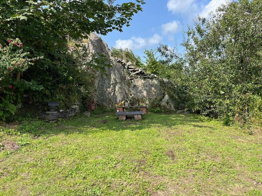 Bryn Rhedyn Cottage Cwm-y-glo 외부 사진