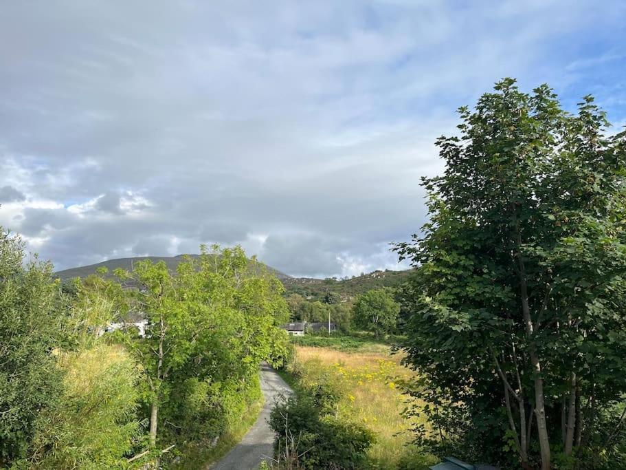 Bryn Rhedyn Cottage Cwm-y-glo 외부 사진